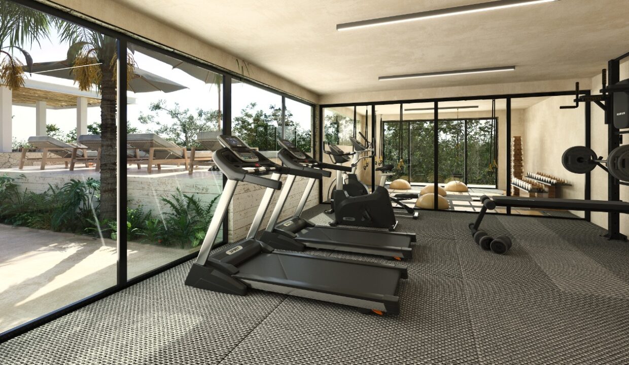 GIMNASIO
